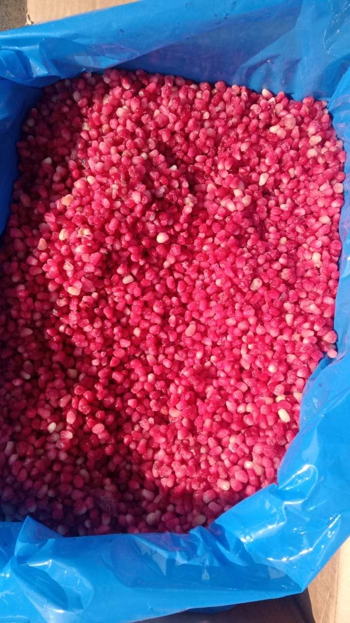 Export 4